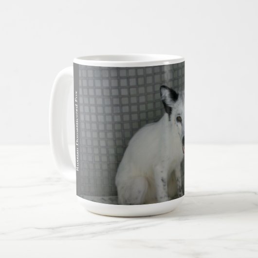 Fox Mok - ambassadeur Sophia (Voorkant links)