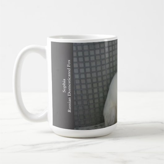 Fox Mok - ambassadeur Sophia (Links)