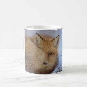 Fox-mok, foxy-mok, vossen, natuur, wilde dieren koffiemok