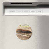 Fox Moth Caterstone Magnet (Insitu (Vaatwasser))