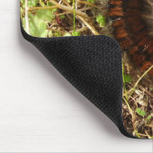 Fox Moth Caterstone Mouse Mat. Muismat (Hoek)