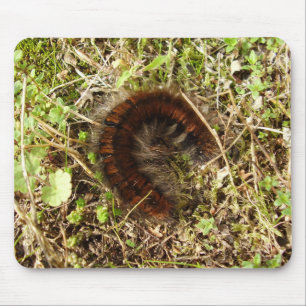 Fox Moth Caterstone Mouse Mat. Muismat