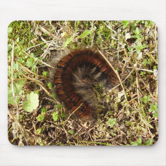Fox Moth Caterstone Mouse Mat. Muismat (Voorkant)