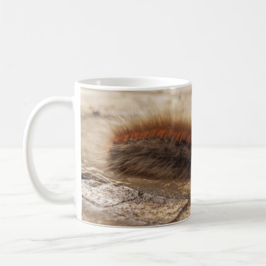 Fox Moth Caterstyle Bug Mok (Links)