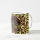 Fox Moth Caterstyle Bug Mok (Voorkant rechts)