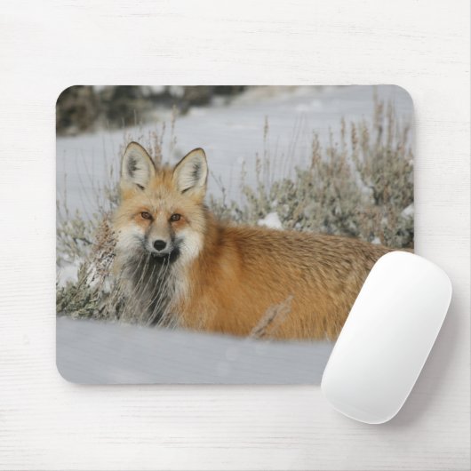 Fox Muismat (Met muis)