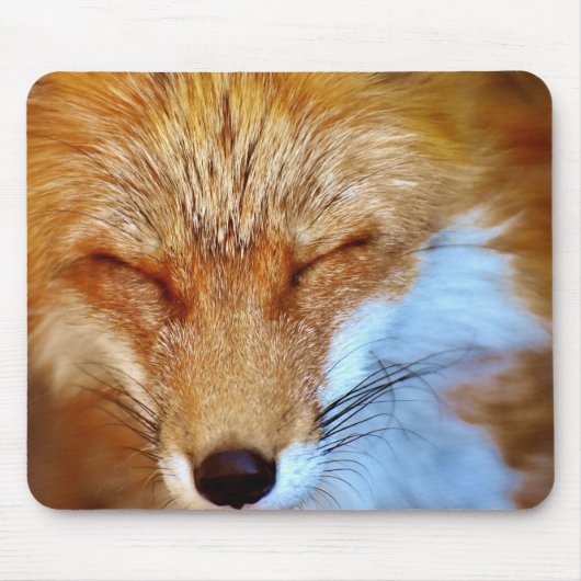 Fox Muismat (Voorkant)