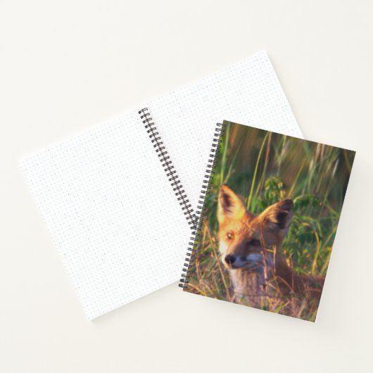 Fox Notebook Notitieboek (Binnen)
