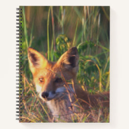 Fox Notebook Notitieboek