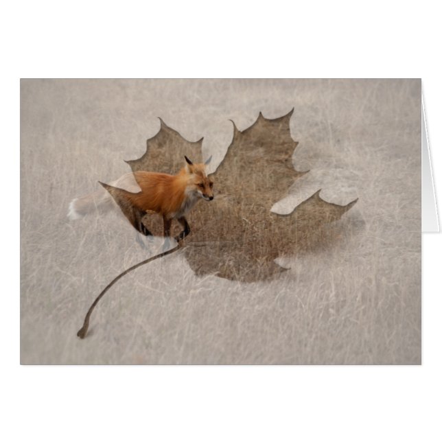 Fox op de run (Voorkant Horizontaal)