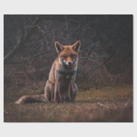 FOX OP GRASSVELD CADEAUPAPIER (Vlak)