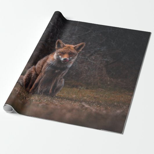 FOX OP GRASSVELD CADEAUPAPIER (Uitgerold)