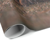 FOX OP GRASSVELD CADEAUPAPIER (Rol Hoek)