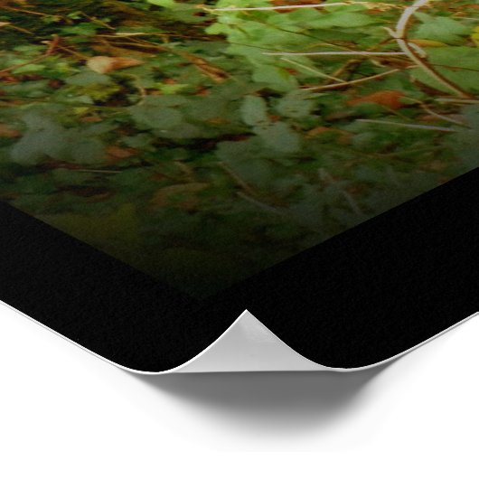 Fox op het Poster Golden Path ~ Fantasy (Hoek)