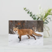Fox op sneeuw kerst Kaart (Staand voorkant)