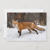 Fox op sneeuw kerst Kaart (Voorkant)