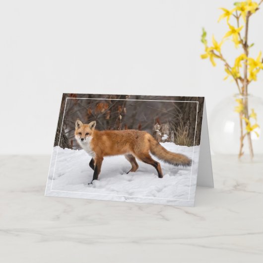Fox op sneeuw kerst Kaart (Gele Bloem)