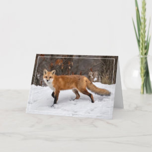 Fox op sneeuw kerst Kaart