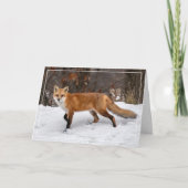 Fox op sneeuw kerst Kaart (Voorkant)