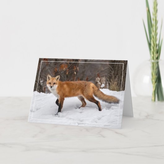 Fox op sneeuw kerst Kaart (Voorkant)