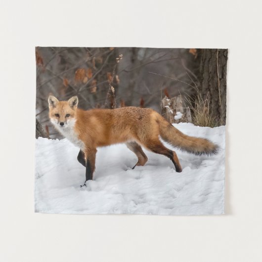 Fox op sneeuw wandkleed (Voorkant (horizontaal))