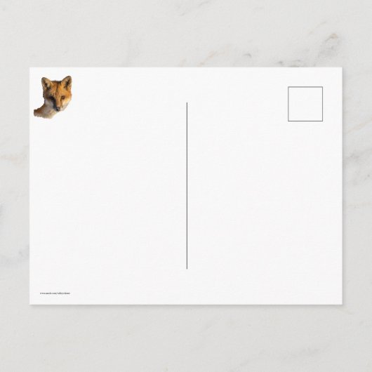 Fox op sneeuwfoto afdrukken briefkaart (Achterkant)