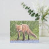 Fox Photo Briefkaart (Staand voorkant)
