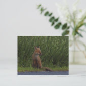 Fox Photo Briefkaart (Staand voorkant)