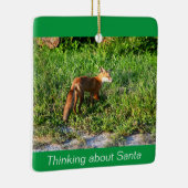 Fox Photo Ornament (Rechts)
