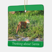 Fox Photo Ornament (Links)
