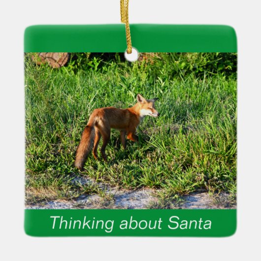 Fox Photo Ornament (Voorkant)