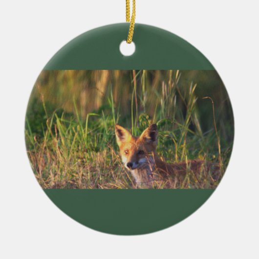 Fox Photo Ornament  (Voorkant)
