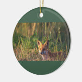 Fox Photo Ornament  (Links)