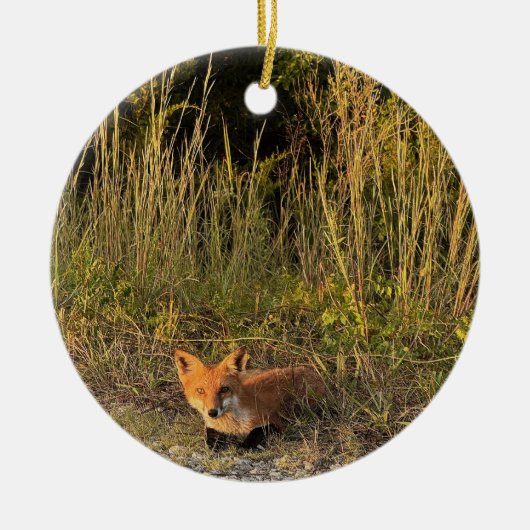 Fox Photo Ornament  (Voorkant)