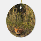 Fox Photo Ornament  (Links)