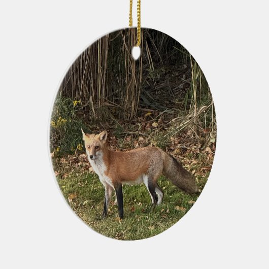Fox Photo Ornament (Rechts)