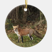 Fox Photo Ornament (Voorkant)