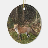 Fox Photo Ornament (Links)