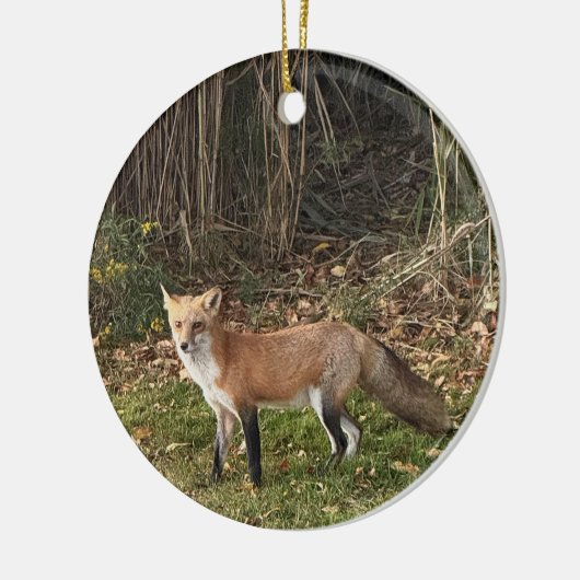 Fox Photo Ornament (Links)