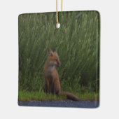 Fox Photo Ornament  (Links)