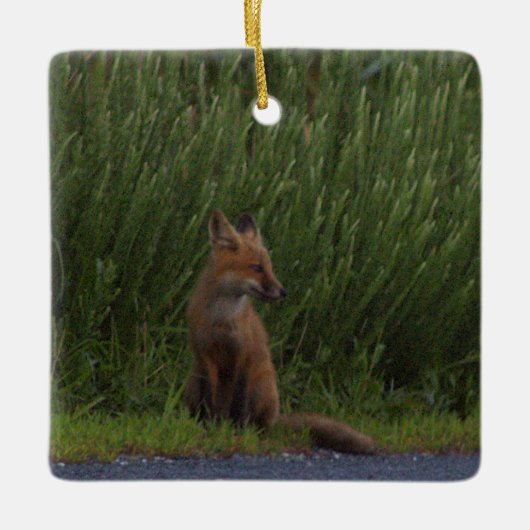 Fox Photo Ornament  (Voorkant)