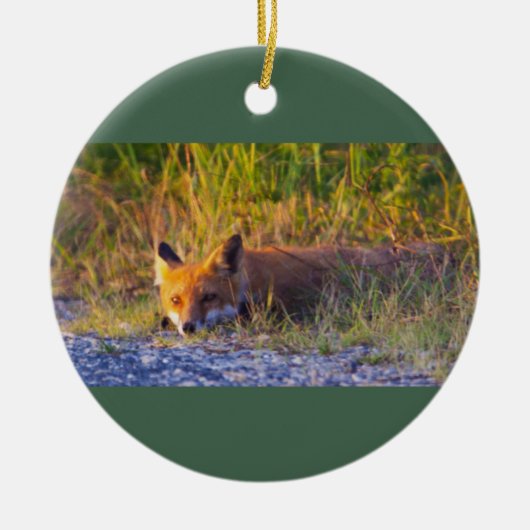 Fox Photo Ornament  (Voorkant)