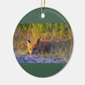 Fox Photo Ornament  (Links)