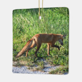 Fox Photo Ornament (Links)