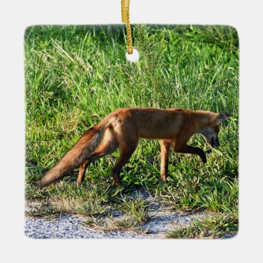 Fox Photo Ornament (Voorkant)