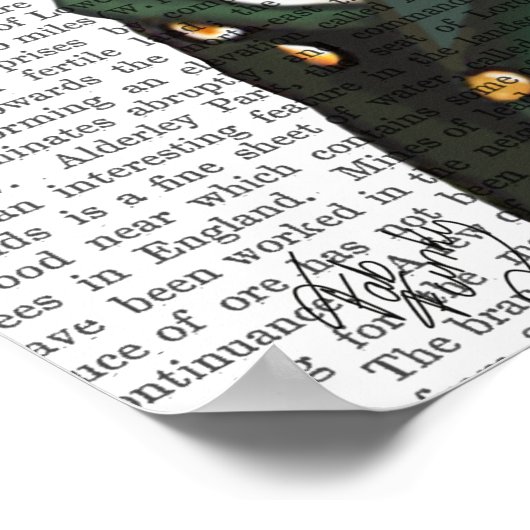 Fox Portrait Poster (Hoek)