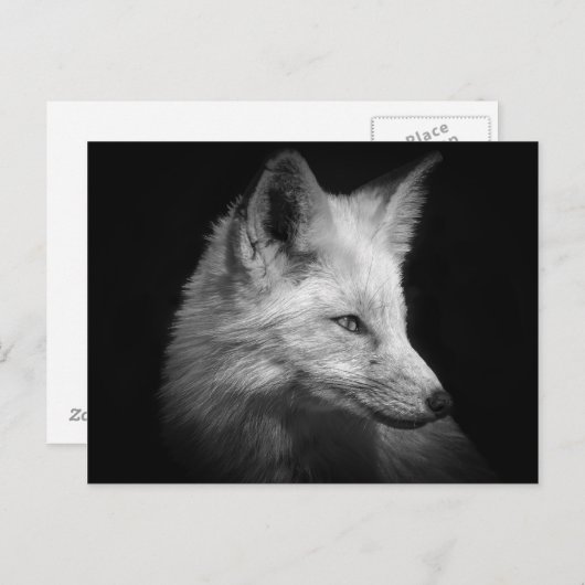 Fox Portret Briefkaart (Voorkant / Achterkant)
