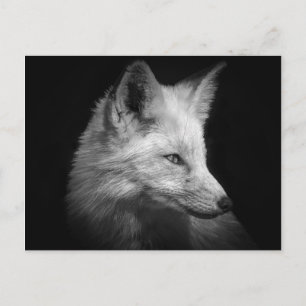 Fox Portret Briefkaart
