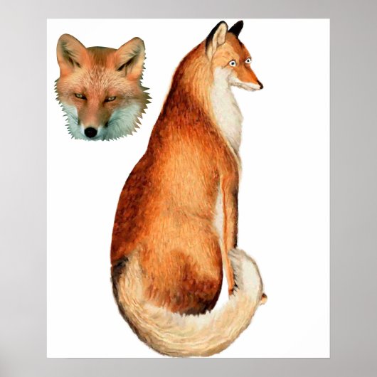 Fox poster (Voorkant)