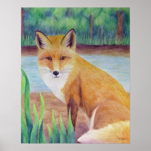 Fox Poster (Voorkant)